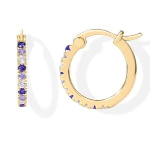 18K Gold Plated Purple Cubic Zirconia Hoop Earrings